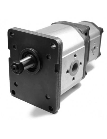 Bomba engranajes doble 36+9 lts 1PLD36-9DE10B