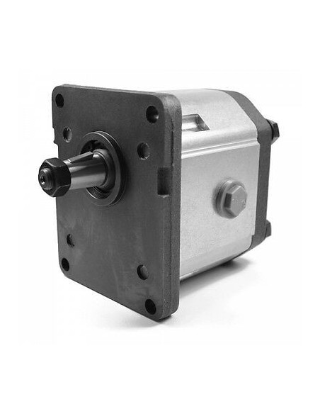 BOMBA ENGRANAJES 10 LTS 1L010DE10R | suministrosalegre.com