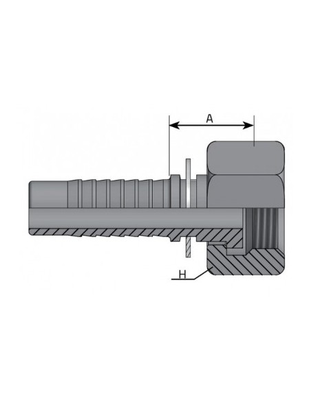 HEMBRA GIRATORIA BSP COLA ITALIANA