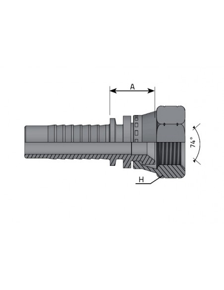 HEMBRA ROSCA JIC COLA ITALIANA
