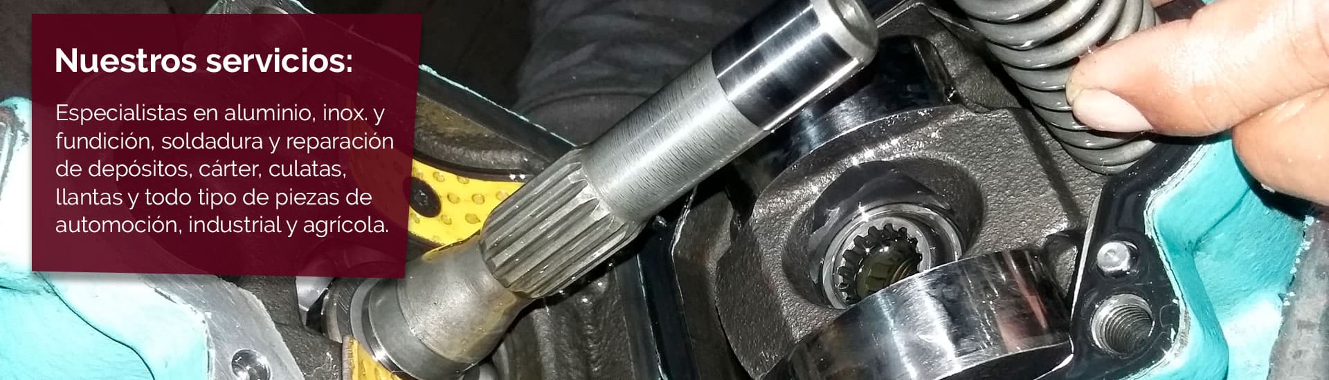 servicios-alegre-banner2